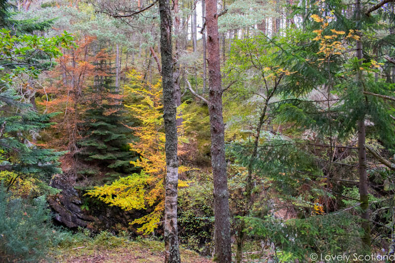 excursiones de otoño Pitlochry