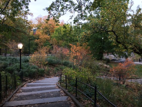 bidding farewell to New York